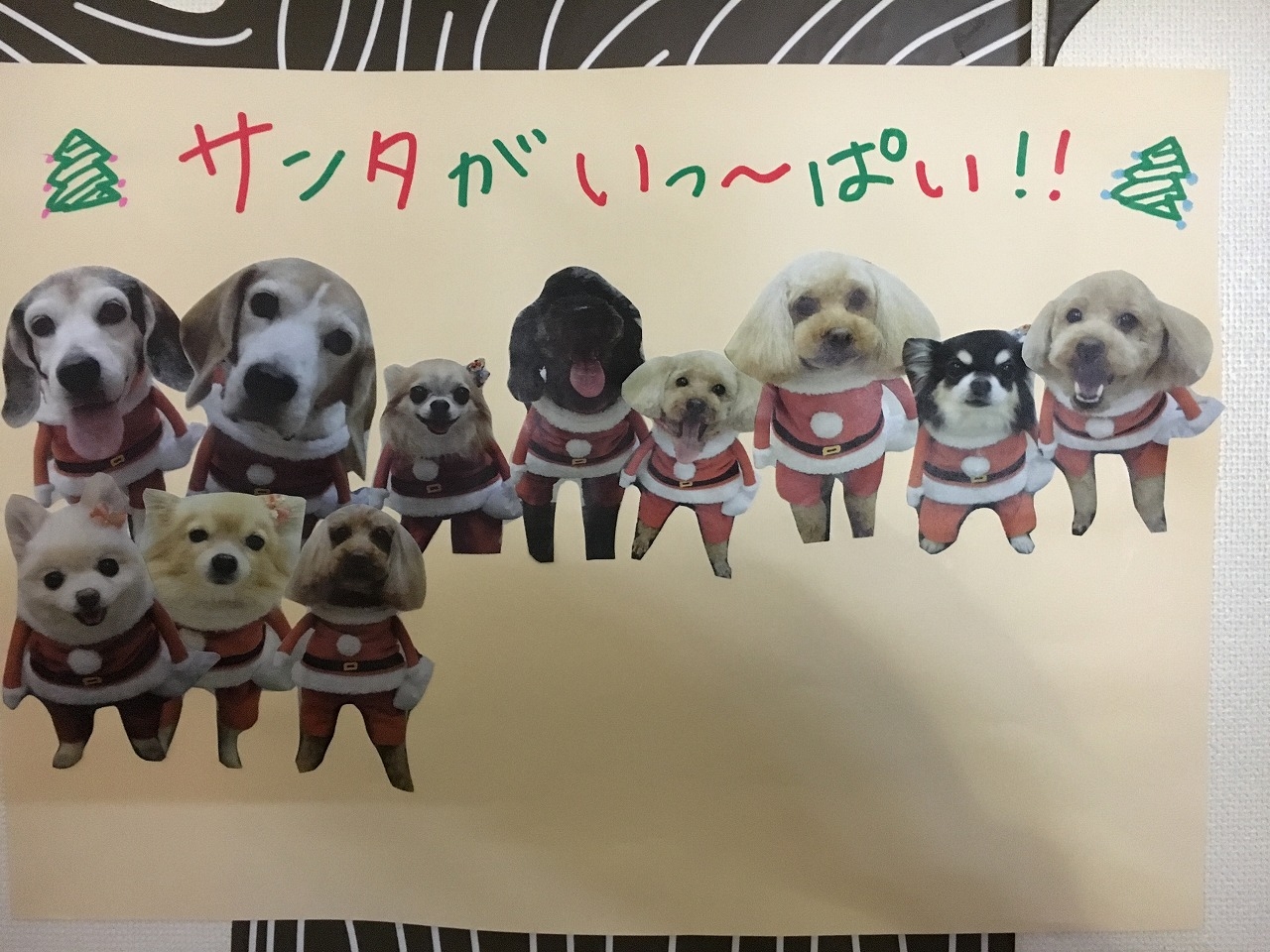 かわいいサンタ！