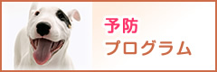 予防