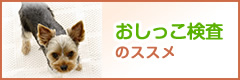 おしっこ検査