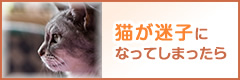 迷子