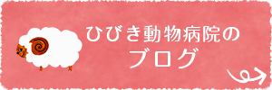 ひびき動物病院のブログ