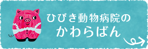 ひびき動物病院のかわらばん