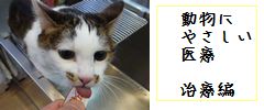 動物にやさしい医療　治療