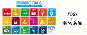 sdgs top