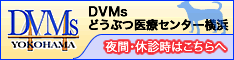 DVMsどうぶつ医療センター横浜