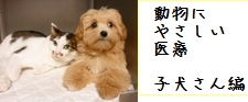 動物にやさしい医療　去勢