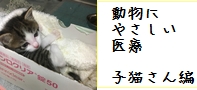 動物にやさしい医療　歯科