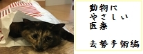 動物にやさしい医療　去勢