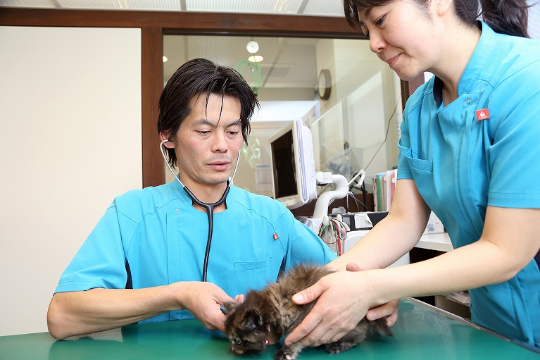 セカンドオピニオンについて