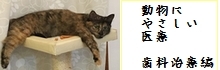 動物にやさしい医療　歯科