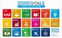 sdgs