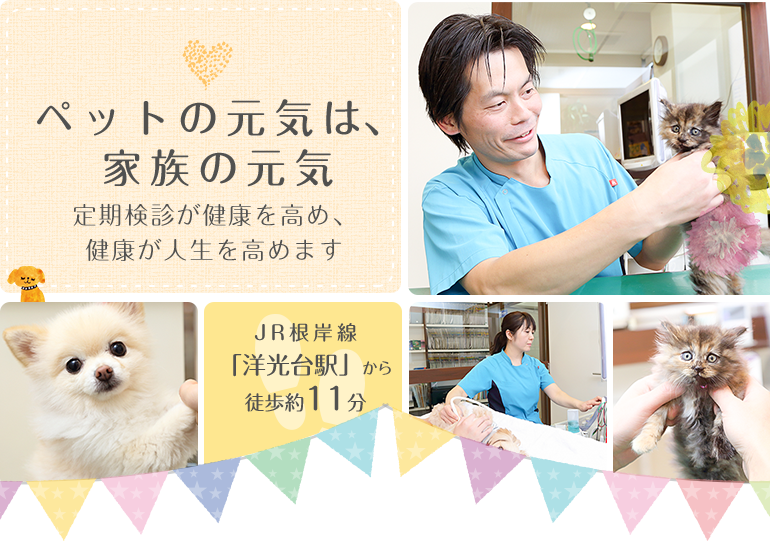 ペットの元気は、家族の元気
