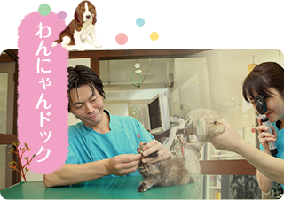 わんにゃんドック