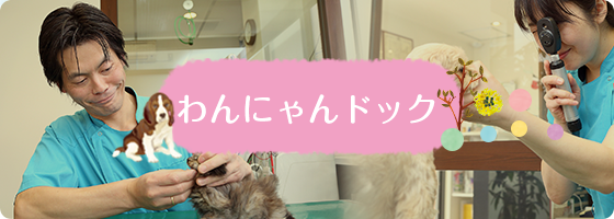 わんにゃんドック