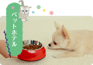 ペットホテル