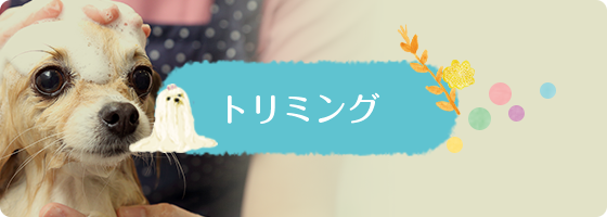 トリミング