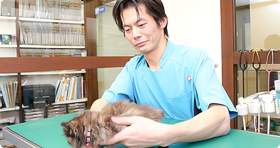 腫瘍疾患の治療