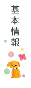 基本情報